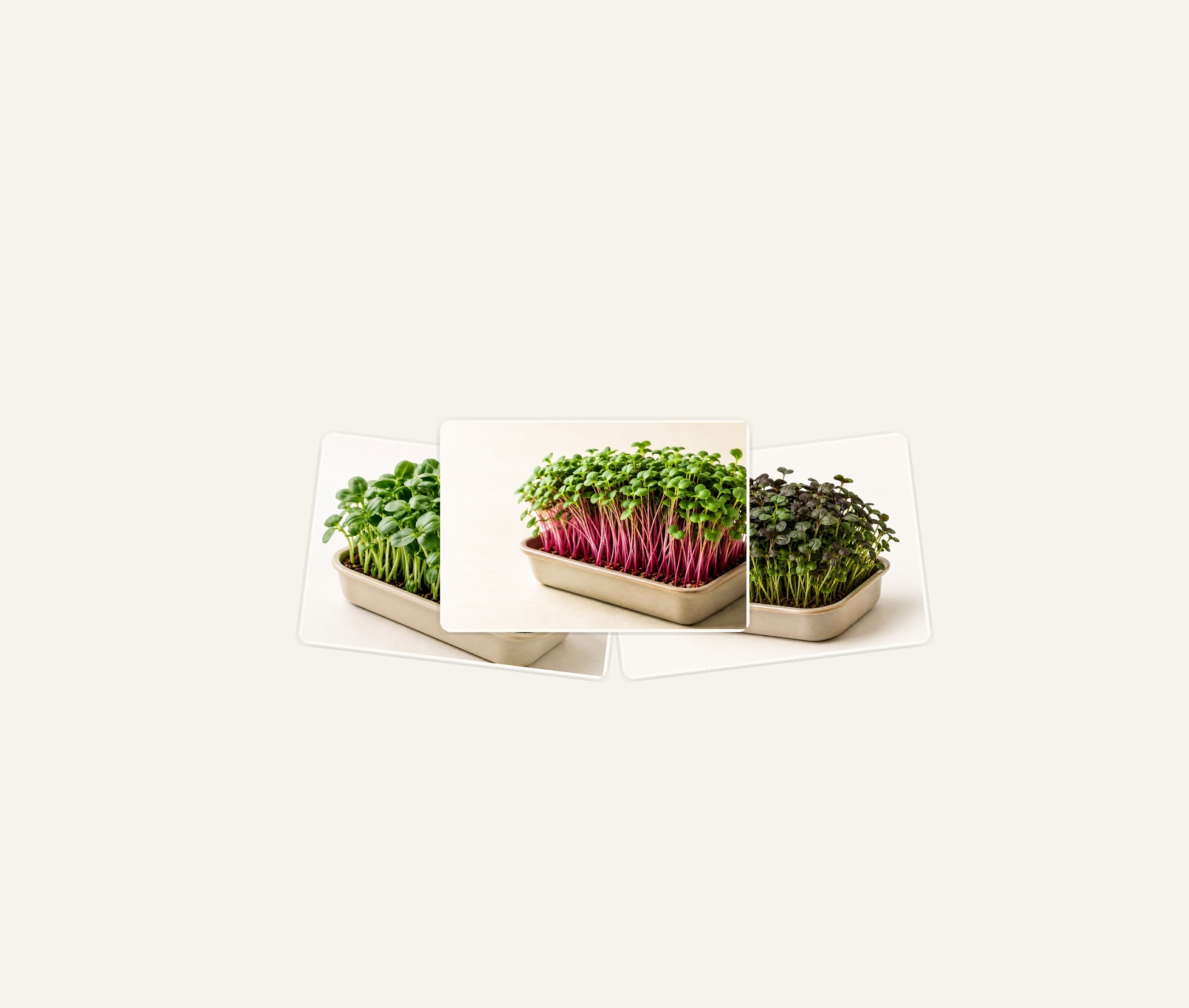 Subscription microgreens